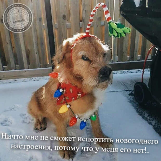 Новогоднее настроение