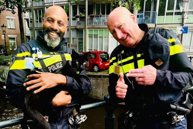 В Амстердаме кот Нимис стал "полицейским"