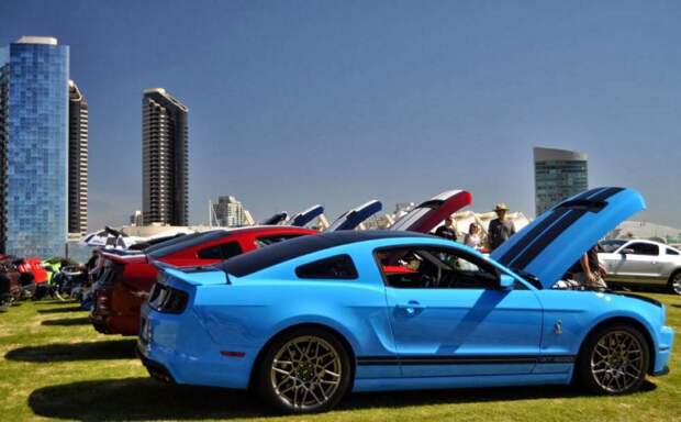 авто, ford, mustang