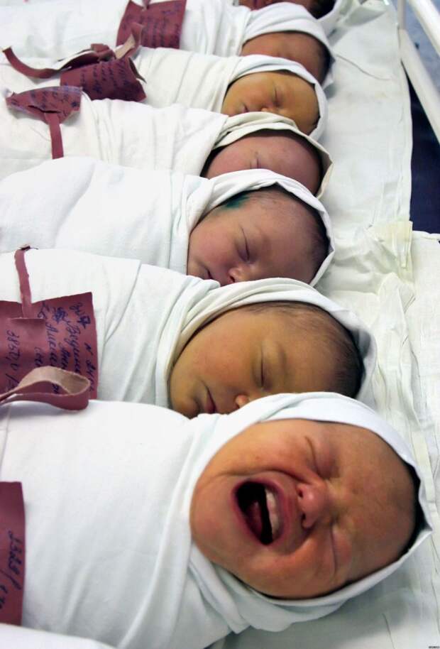 А знаете ли вы?... факты, познавательно, статистика