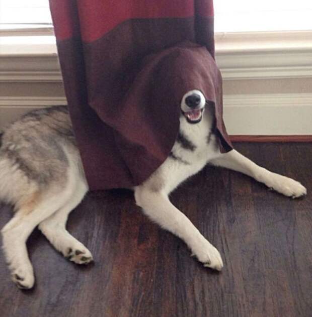 Чур, я в домике.