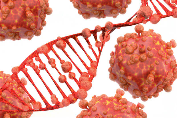 США и ВОЗ. Разрыв с последствиями