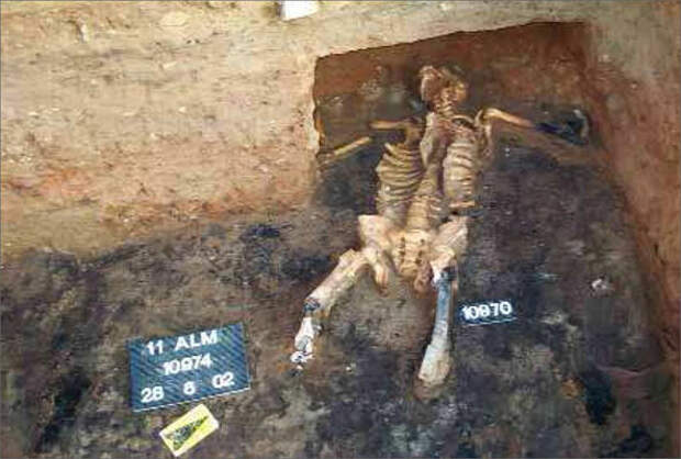 У человека, которому принадлежали эти останки, были отрублены обе ноги и обе руки, после чего его тело обгорело в пламени пожара - Горе побеждённым | Военно-исторический портал Warspot.ru