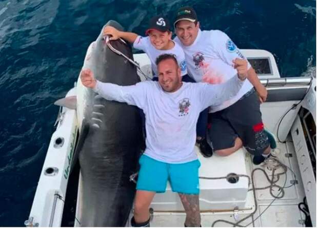 Мальчик из Австралии поймал акулу весом 314 кг