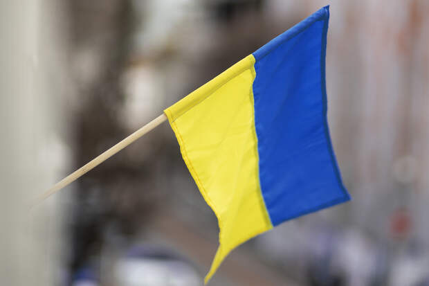 Можин: МВФ финансирует терроризм, поддерживая Украину