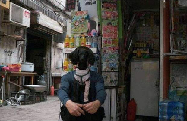 Показалось!