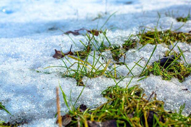 весна/фото: pixabay.com