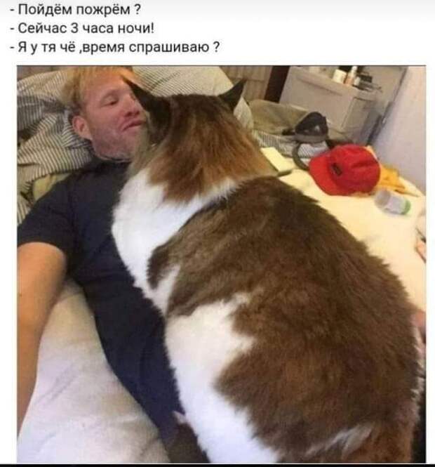 Предложение от которого нельзя отказаться