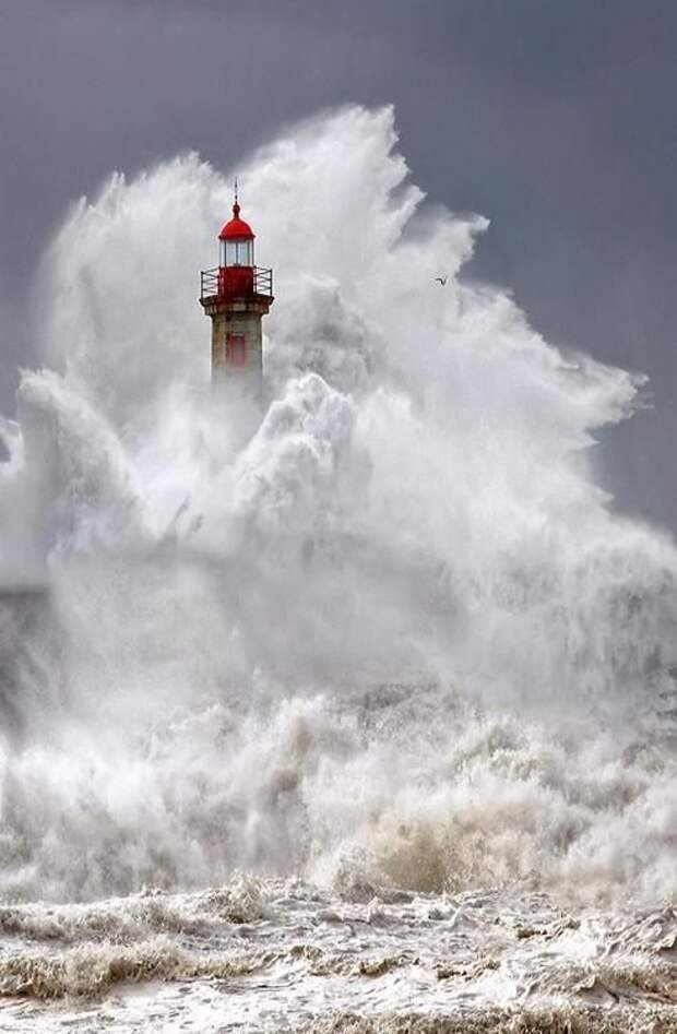 6. Мощь волн в океане бушует, захватывает дух, красиво, природа, стихия, фото