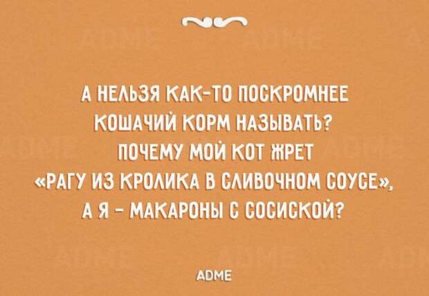 20 саркастичных открыток
