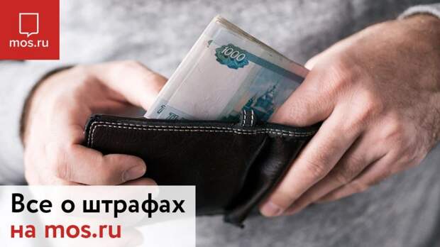 Проверить наличие штрафов можно на портале mos.ru. Фото: mos.ru