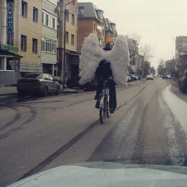 Фотоподборка