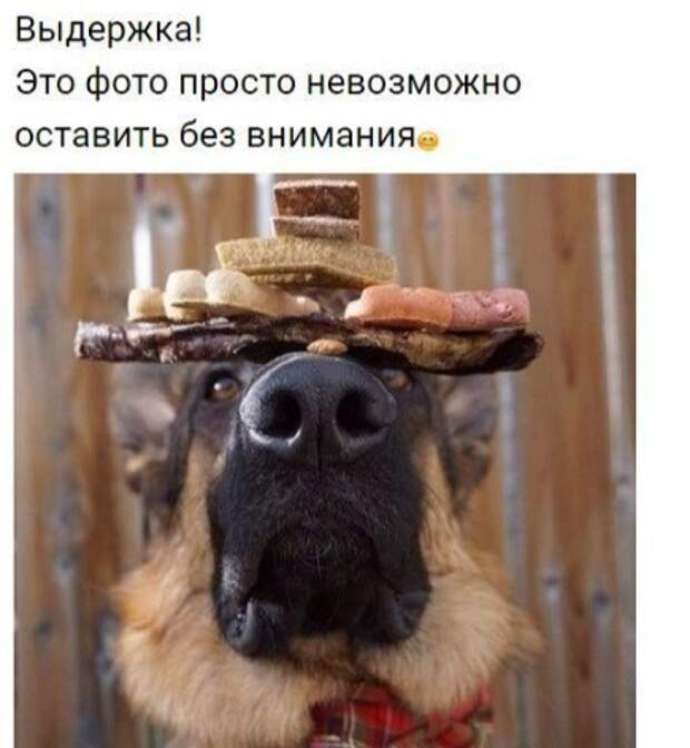 Картинки и фотографии с надписями из жизни (10 фото) Картинки и фотографии с надписями из жизни (10 фото)