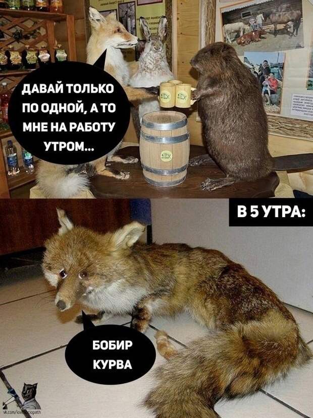 #юмор #смешное #приколы