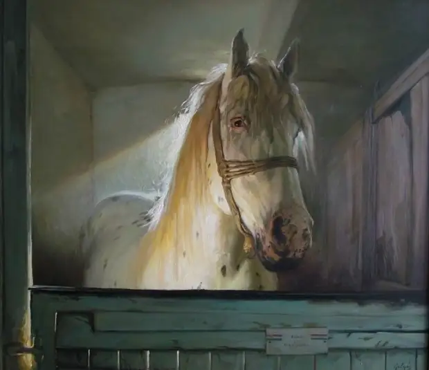    (Laszlo Gulyas)   30