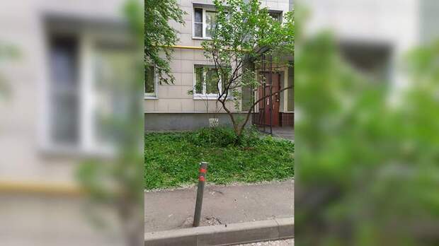В Москве трехлетняя девочка выжила после падения с девятого этажа