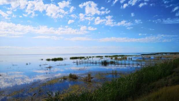 Коргалжынский заповедник: колония розовых фламинго в Центральном Казахстане