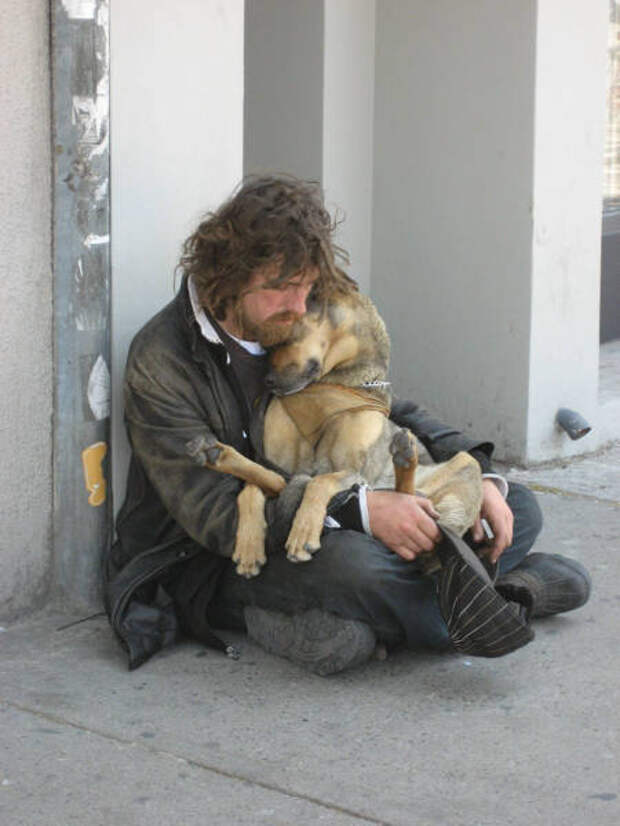 dogs_dont_care_about_money_all_they_need_is_love_640_01