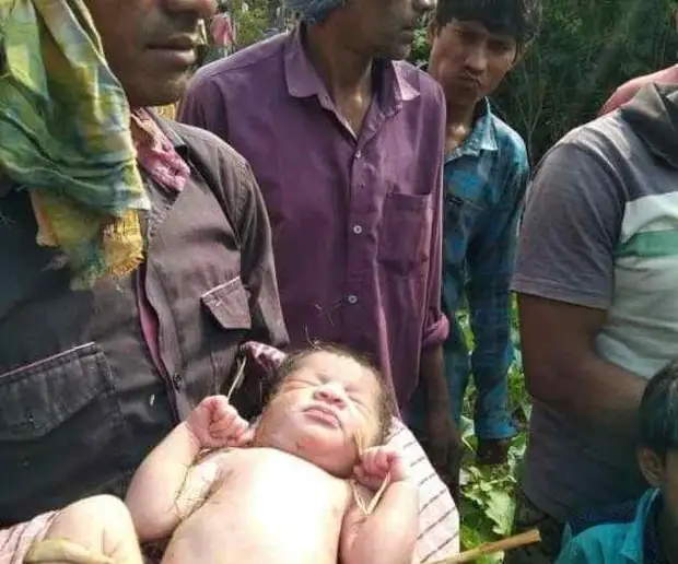 Щенята спасли новорожденную девочку, согревая её своим теплом