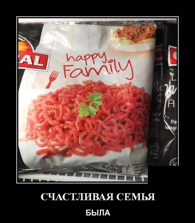 demotivatory-demotivator-smeshnye-demotivatory-demotivator-so-smyslom