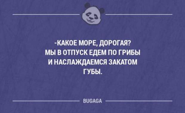Забавные фразы в картинках с надписями. Часть 38 (20 шт)