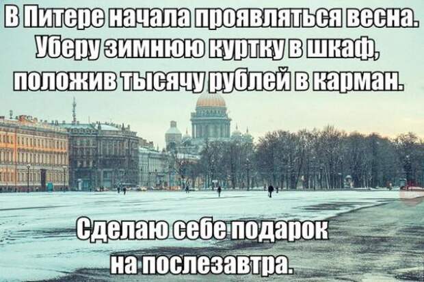 Картинки, юмор, приколы