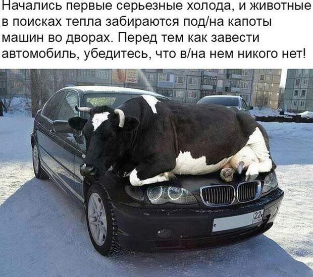Женщина заполняет анкету в отделе кадров.. Женщина заполняет анкету в отделе кадров..