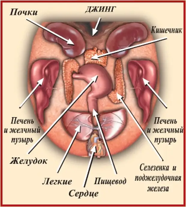 Диагностика по языку в китайской медицине картинки