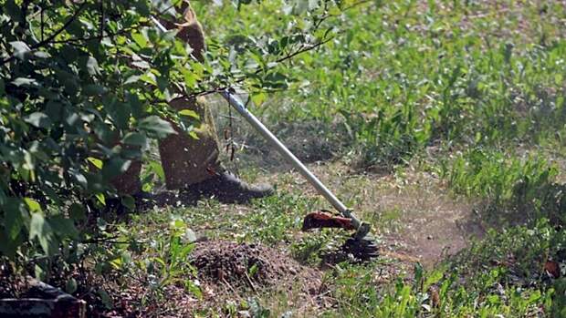 Российские дачники стали получать от аферистов уведомления о срочных сборах