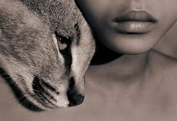 Люди и животные в фотографиях Gregory Colbert Люди и животные в фотографиях Gregory Colbert