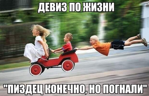 Смешные картинки с надписями Смешные картинки с надписями прикол, юмор