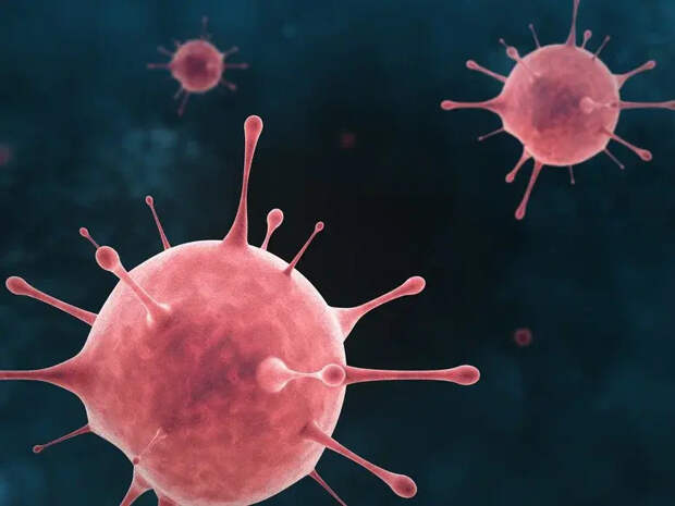 Вирусологи выявили эволюционные ограничители вируса COVID-19