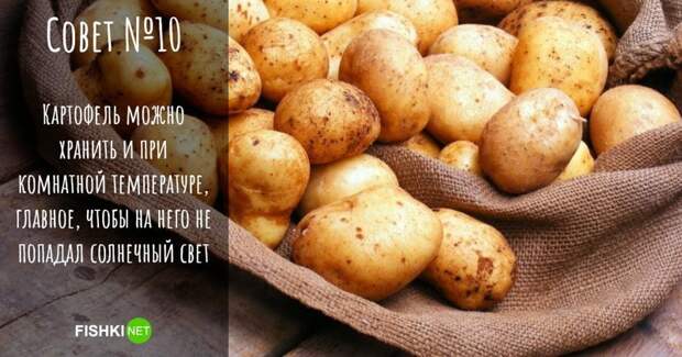 Купили немного картофеля? еда, жареная картошка, картофель в мундире, кулинарные секреты, пюре, рецепты, хранение картофеля