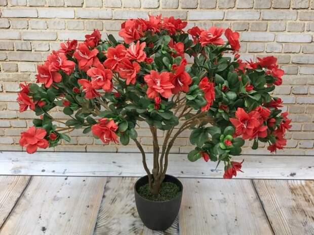 Screenshot_2025_08_04-6