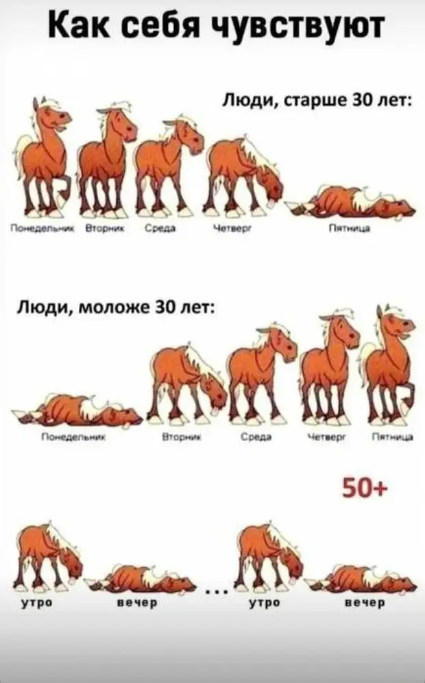 Мозги нужно было давать Элли, а не Страшиле. Свалить из волшебной страны в Канзас. Вот точно мозгов не было Мозги нужно было давать Элли, а не Страшиле. Свалить из волшебной страны в Канзас. Вот точно мозгов не было мужик, Мужик, огурец, француз, немного, можно, плавки, французу, квартира, почему, Лягуха, Очень, просто, отвечает, кладу, лягуха, любишь, Когда, вокруг, выныривает