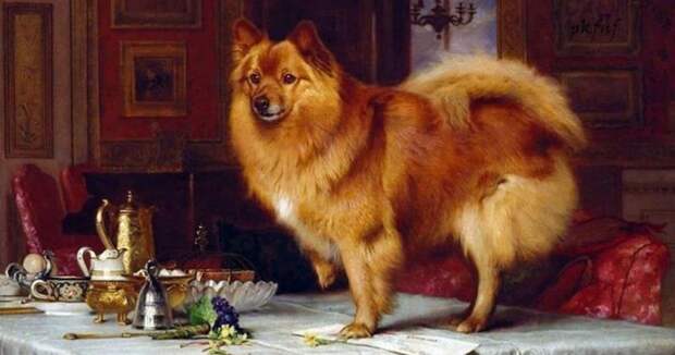 Жучка, Полкан и Тузик: Как появились самые популярные в России собачьи клички