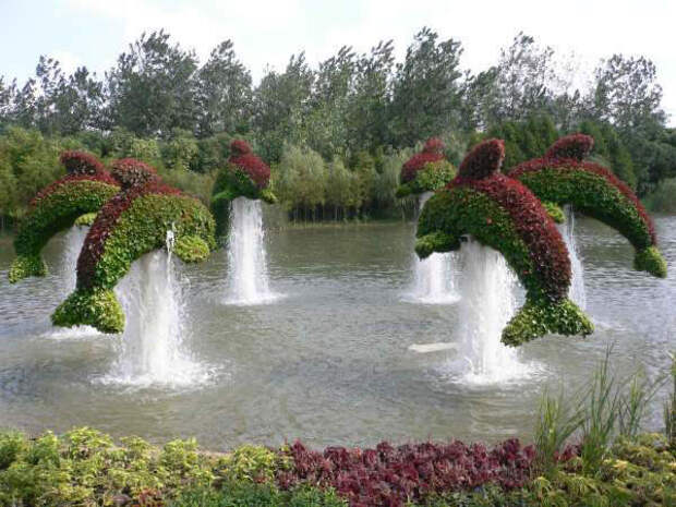 Ландшафтный дизайн.Китайский сад.