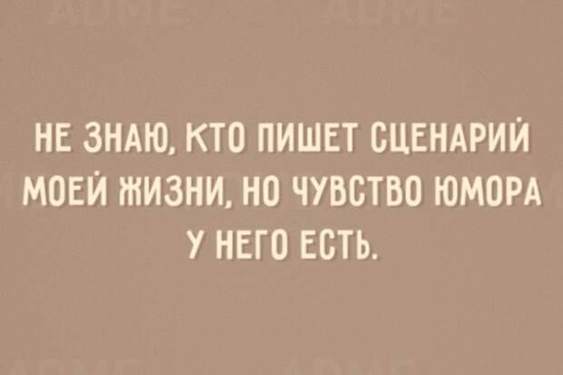 С этим не поспоришь С этим не поспоришь открытки, юмор