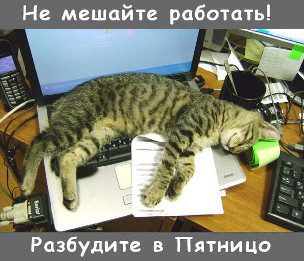 Давайте улыбаться вместе :)