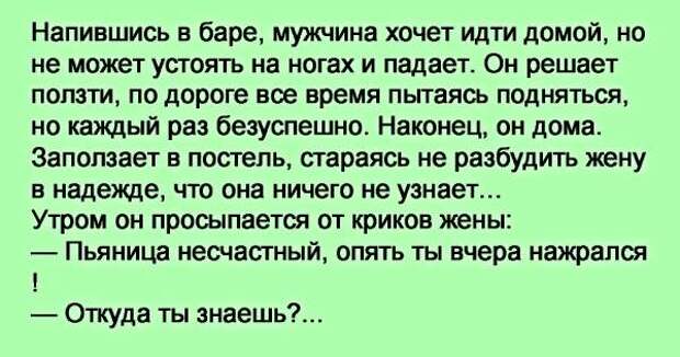 Женщина раз в году. Сапожник напивается в стельку плотник в доску во что напивается. Во что напивается мент что женщина одевает раз. Напиться в стельку в доску. Во что напивается учитель.