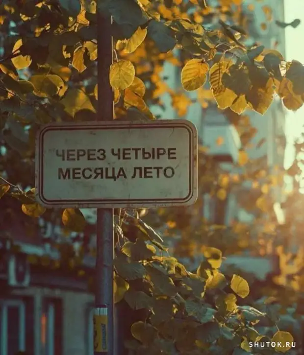 Картинки поднимающие настроение - Смехотерапия - Медиаплатформа МирТесен