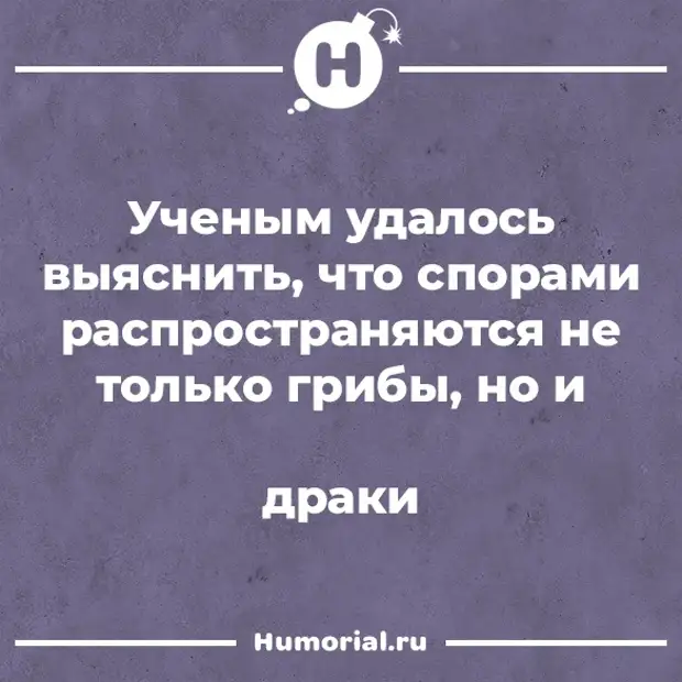 Юмор из интернета 712