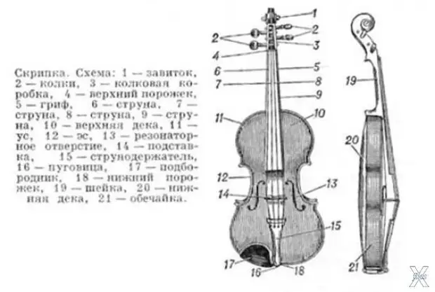 Из чего состоит скрипка схема для детей