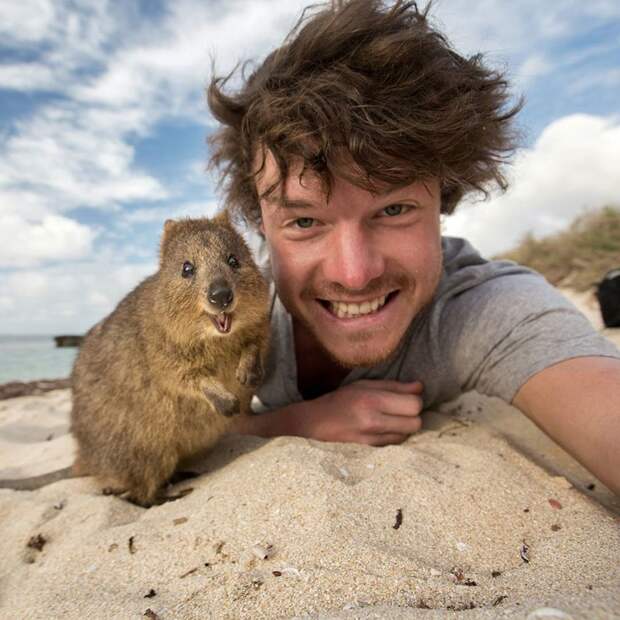 5511410-880-1450945704-funny-animal-selfies-allan-dixon-13