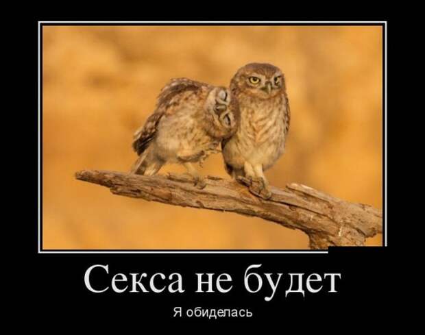 Демотиваторы (30 фото)