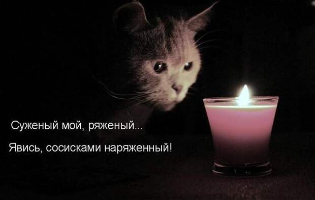 Мысли вслух :)
