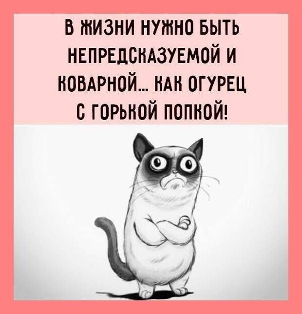 Веселые истории о нас (очередной выпуск)