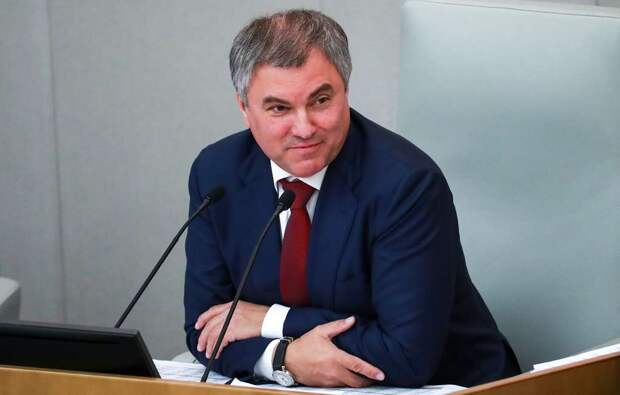 Председатель Госдумы Вячеслав Володин Сергей Фадеичев/ТАСС