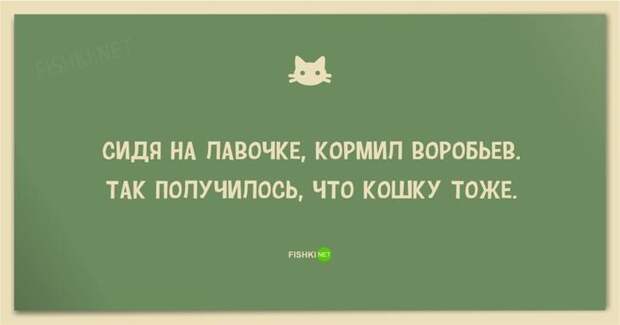 25 смешных анекдотов про кошек и котов анекдот, животные, юмор