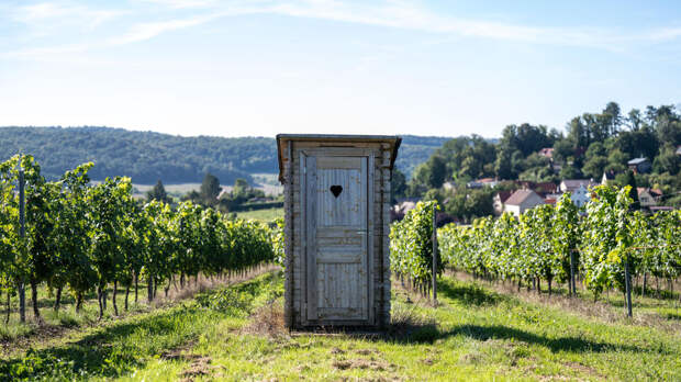 Россиян предупредили о штрафах за туалет на дачном участке